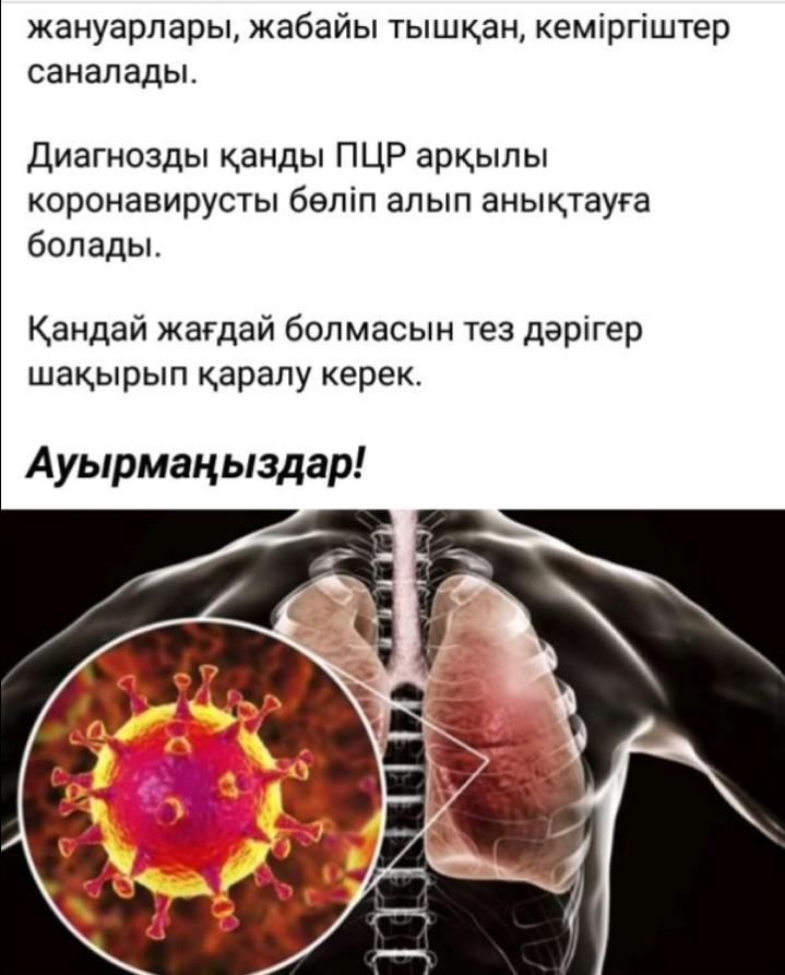 Домалақ ене атындағы орта мектебінде оқушылардың қауіпсіздігін қамтамасыз ету мақсатында ата-аналардың және оқушылардың чатына жаднамалар таратылды.[